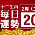 2月20號(二)12生肖運勢+指數