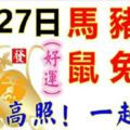 2月27日生肖運勢_馬、豬、狗大吉