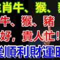 生肖牛、猴、豬，運勢好，貴人忙！事業順利財運旺(3月11到17日）