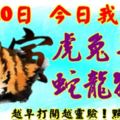 3月10日，今日我最旺！虎兔羊馬蛇龍猴雞！【68888】越早打開越靈驗！點個贊吧！