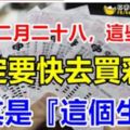 農曆二月二十八，這些生肖一定要快去買彩票啊！尤其是『這個生肖』財運當頭，勢不可擋！