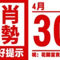 生肖運勢，天天好提示（4月30日）