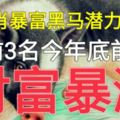 12生肖暴富黑馬潛力榜，前3名今年底前，財富暴漲！