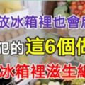 原來蔬菜放冰箱裡也會腐爛？你常犯的這6個做法，都會讓冰箱裡滋生細菌