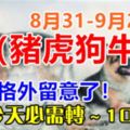 8月31-9月2日這五個生肖注意了：豬、虎、狗、牛、兔！必須轉，100%靈！