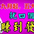 9月，這5大生肖就四個字：「賺到發紫」