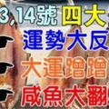 9月13,14號起運勢大反轉，四大生肖大運蹭蹭漲，鹹魚大翻身