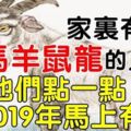 家裡有這五大生肖，2019年馬上有錢，為他們點一點吧