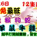 2018年11月26日，星期一農歷十月十九（戊戌年癸亥月壬戌日）