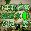 2019年起運勢高漲，賺錢如流水的6大生肖，發財發足一整年！