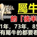 屬牛人的「後半輩子」，特別61年，73年，85年的，身邊有屬牛的都要看看