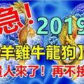 緊急！2019年，屬【羊雞牛龍狗】的人，貴人扶吉星照，翻身交好運，快來接