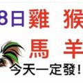 3月8日生肖運勢_雞、猴、鼠大吉