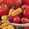 能抗氧化的西紅柿，應該生吃？熟吃？空腹吃？減肥吃它有用嗎？