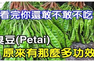 不敢相信！臭豆(Petai)原來有那麼多功效！看完你還敢不敢不吃？