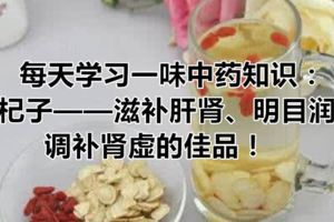 每天學習一味中藥知識：枸杞子——滋補肝腎、明目潤肺，調補腎虛的佳品！