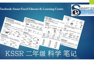 (SmartExcel分享)二年級KSSR科學精簡筆記