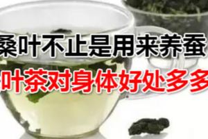 桑葉原來不止是用來養蠶，桑葉茶對身體好處多多