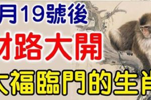 3月19號後，財路大開，大福臨門的生肖！