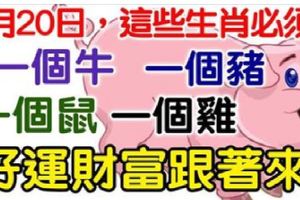 3月20日，一個豬，一個雞，一個牛，一個鼠必須轉啊！好運財富跟著來！