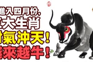 一進入四月份，三大生肖財氣沖天！越來越牛！