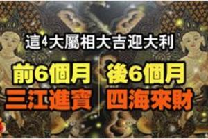 狗年前6個月三江進寶,後6個月四海來財,這4大屬相大吉迎大利