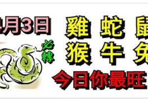 4月3日生肖運勢_雞、蛇、鼠大吉