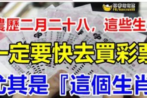 農曆二月二十八，這些生肖一定要快去買彩票啊！尤其是『這個生肖』財運當頭，勢不可擋！