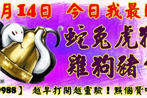 4月14日，今日我最旺！蛇兔虎猴雞狗豬牛！【99988】越早打開越靈驗！點個贊吧！