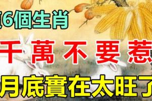 這6個生肖，千萬不要惹，因為他們4月底實在太旺了！