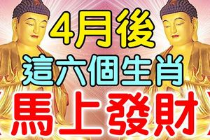 4月後，這六個生肖破財運已過，馬上發財！