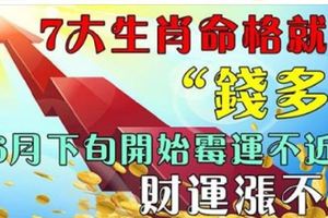 7大生肖命格就是錢多