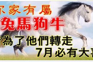 家有屬「兔馬狗牛」的人嗎！7月請為他們轉一轉，轉出橫財來