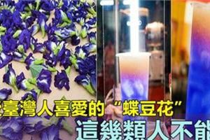 「蝶豆花」又美又保健，可是你知道其實它是有「副作用」的嗎？