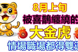 8月上旬，被喜鵲纏繞的大金虎，情場職場都得雙運