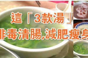 愛美人士注意了！夏季喝這「3款湯」既能排毒清腸又能減肥瘦身！