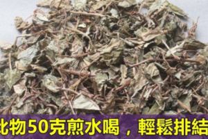 患上結石病？用此物50克煎水喝，讓石頭乖乖排出來分享給有需要的人吧