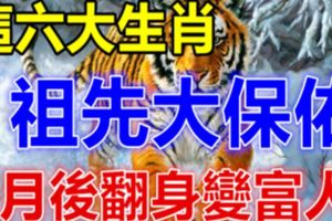 這六大生肖，祖先大保佑，8月後翻身變富人