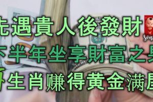 先遇貴人後發大財，下半年坐享財富之果，4生肖賺得黃金滿屋