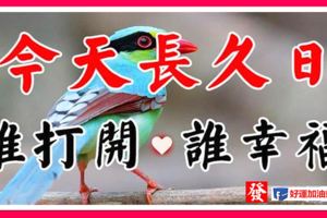 今天8月19日，長久日，祝你九運當頭，長長久久