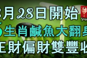 8月28號開始，5大生肖鹹魚大翻身，正財偏財雙豐收，富貴難擋！