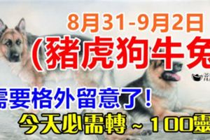 8月31-9月2日這五個生肖注意了：豬、虎、狗、牛、兔！必須轉，100%靈！