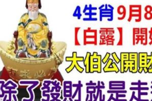 9月8日【白露】開始，大伯公開財庫，這4生肖除了發財就是走運