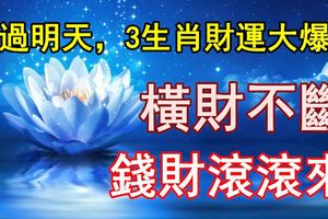 熬過明天，3生肖財運大爆發，橫財不斷錢財滾滾來，再不缺錢花