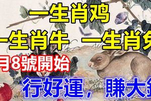 9月8號開始，行好運，賺大錢，走上致富之路的3個生肖