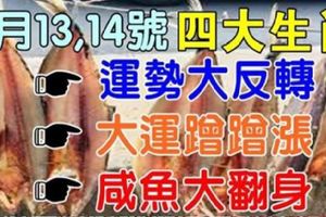 9月13,14號起運勢大反轉，四大生肖大運蹭蹭漲，鹹魚大翻身