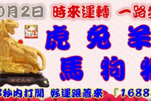 10月2日時來運轉一路發，虎兔羊馬狗猴，88秒內打開，好運跟著來『16888』