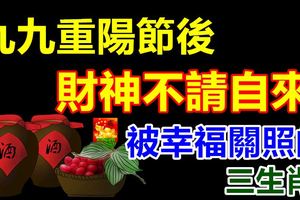 九九重陽節後，財神不請自來，被幸福關照的3生肖