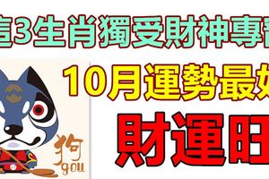 這3生肖獨受財神專寵，10月運勢最好，財運旺，左右逢源，事業順