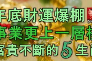 年底財運爆棚，事業更上一層樓，富貴不斷的5大生肖！